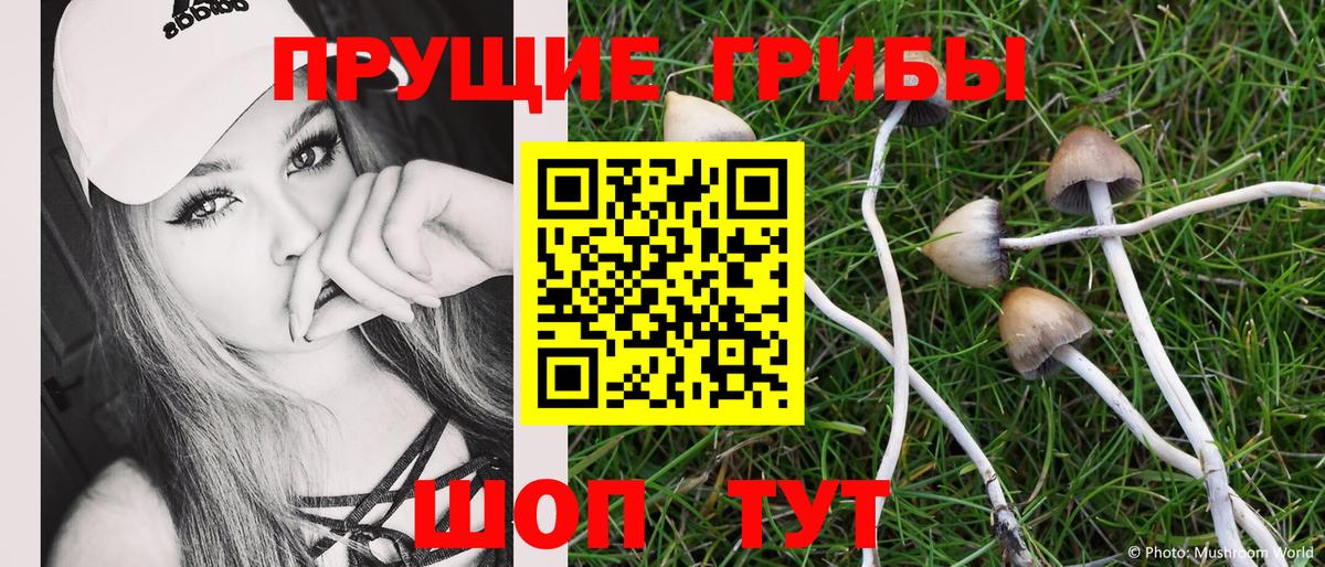 Галлюциногенные грибы Psilocybine cubensis  Вход с VPN  Ростов Великий 
