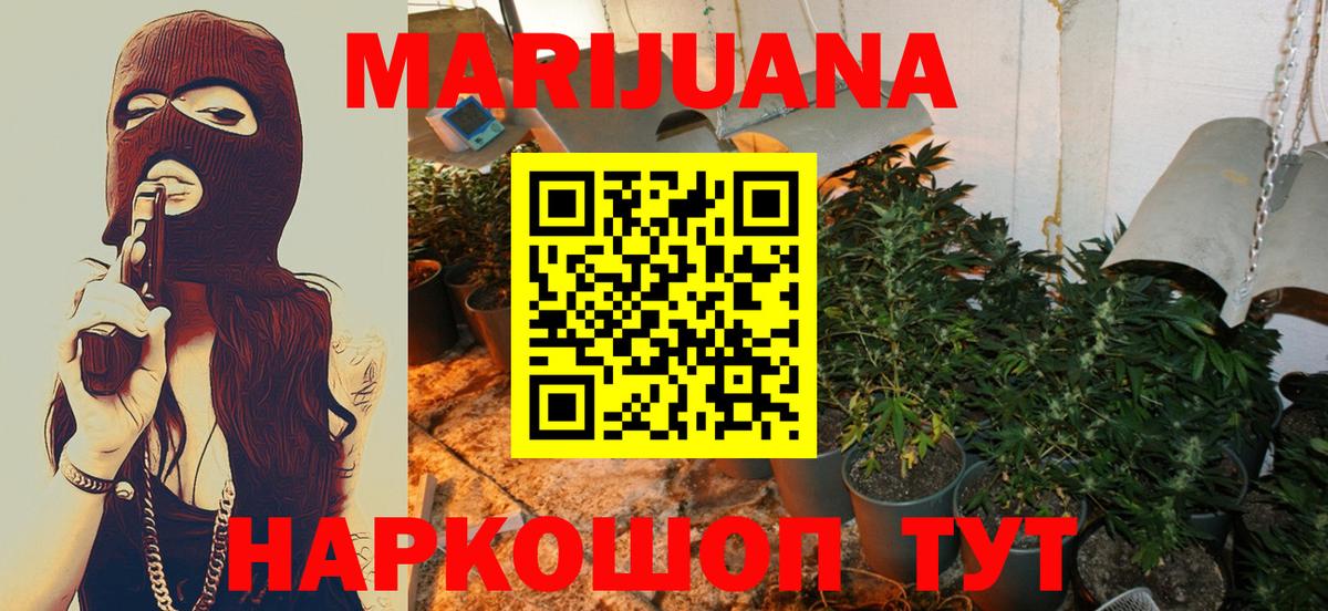 Бошки Шишки семена Ростов Великий